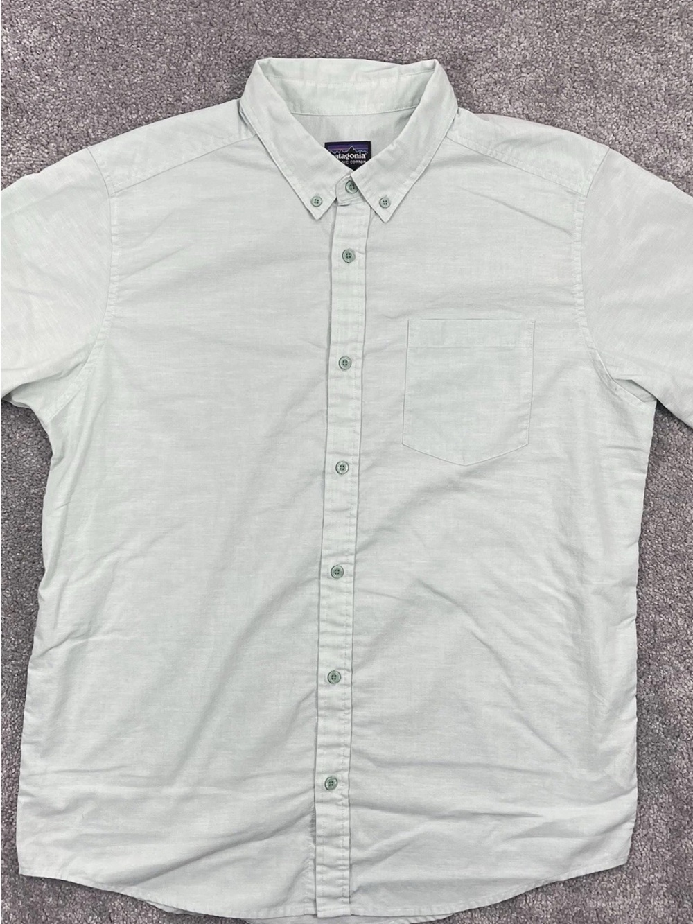 Patagonia Men's Mint Green Button-Down Casual Shirt